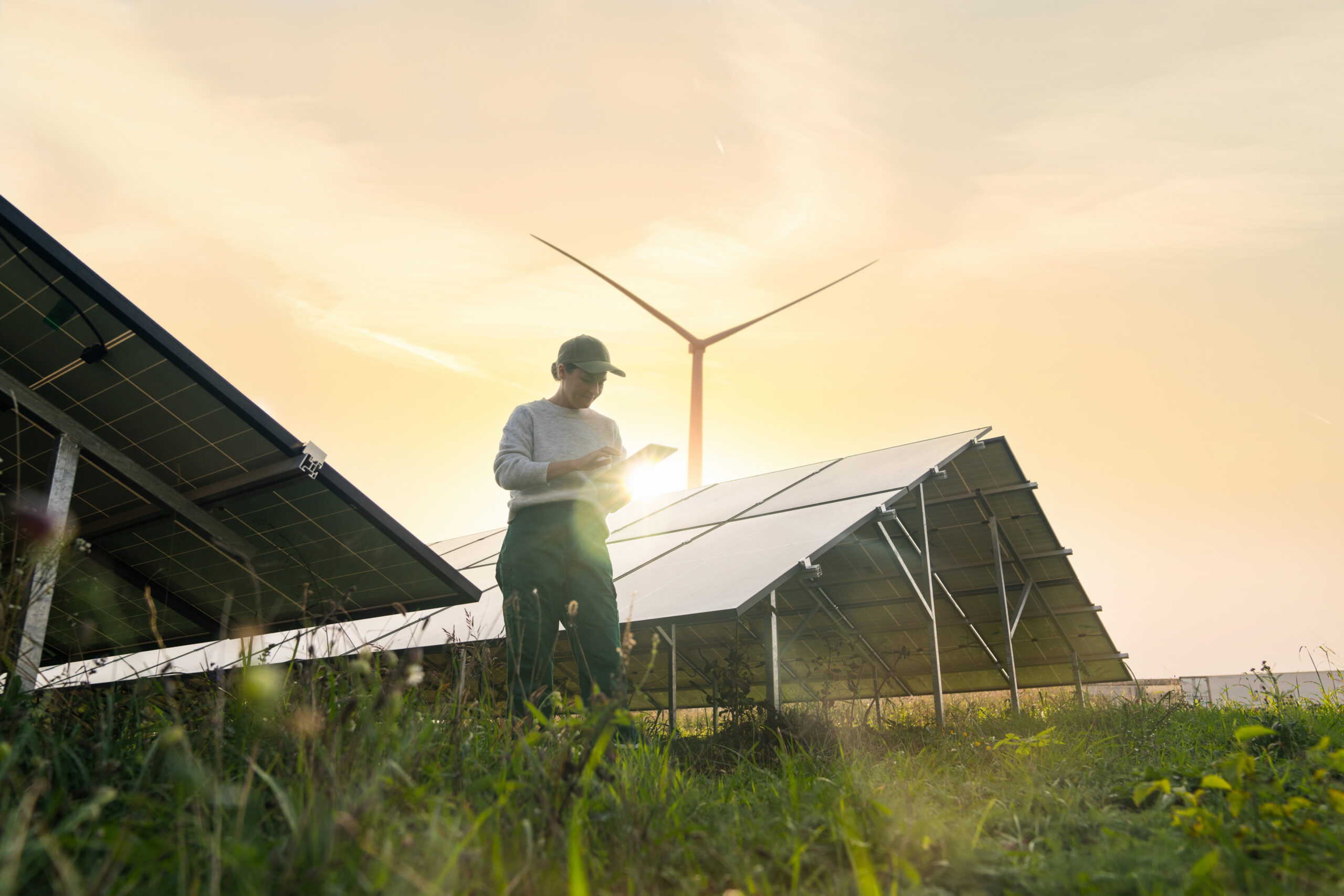 Agri-PV Windenergie